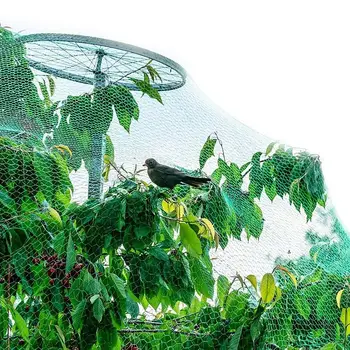 Sodo paukščių tinklinis tinklas Augalų apsauga nuo graužikų Paukščiai Kenkėjai Paukščių tinklas Sodo tinklas Daugkartinio naudojimo aptvarai Apsaugokite vaisius
